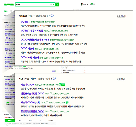 Naver 搜尋結果頁的 Power Link 與 Biz Site 廣告版位